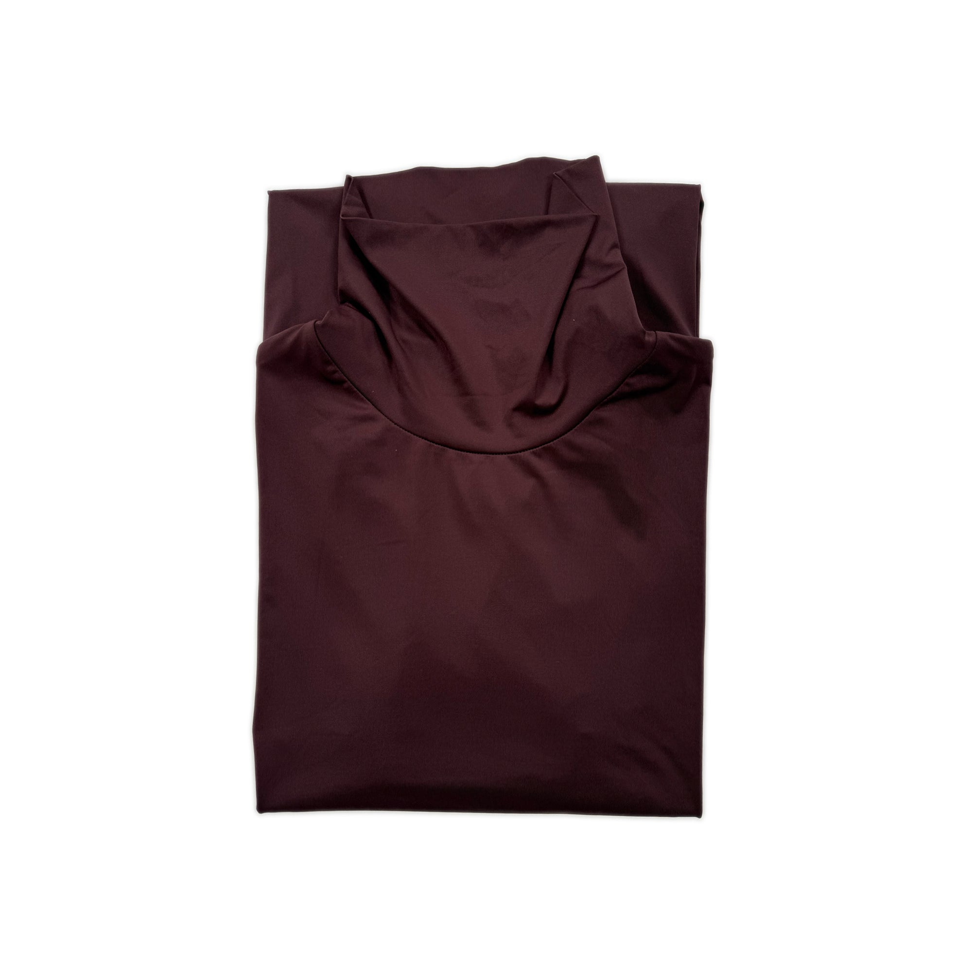 Heyze Stretch Turtle Neck Top – Aubergine