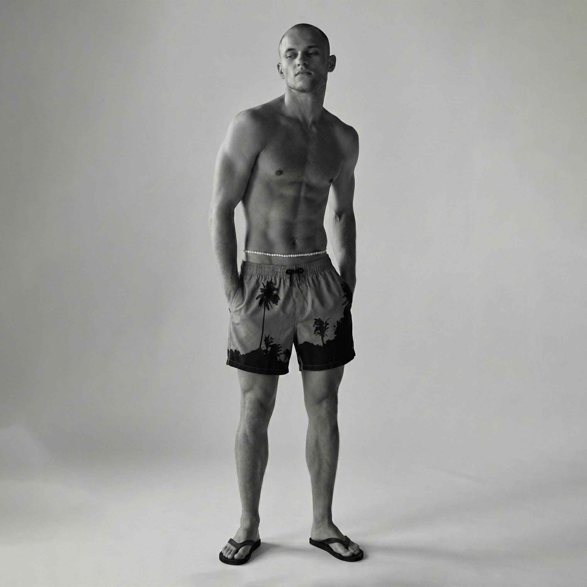 Phibbs Shorts – Palm Silhouette